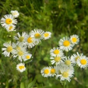 Meet your Posher, Pastor natalie